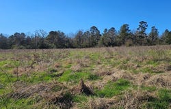 607 County Road 134, GARRISON, TX 75946