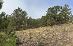 155 Whip Way, Hartsel, CO 80449