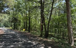 Cedar lot: 32, Heber Springs, AR 72131