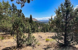 219 VALLEY VIEW Dr, JohnDay, OR 97845