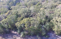 2308 Myrtle Ln, Cameron, TX 76520