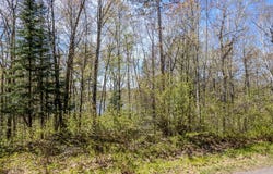 LITTLE BEARSKIN RD lot: 2, Harshaw, WI 54529