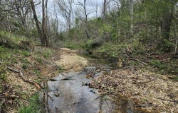 County Road 250-80, Drury, MO 65638