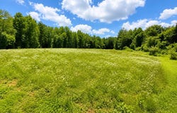 Link Rd lot: 0, Galax, VA 24333