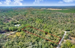 7292 SONIA Avenue, WEBSTER, FL 33597
