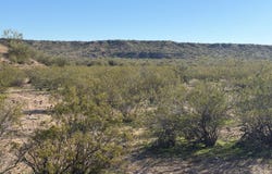 1111 Alamo Rd, Wenden, AZ 85676