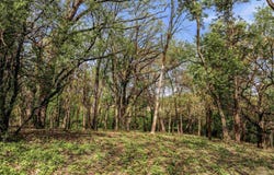 N4087 County Rd A, Cambridge, WI 53523