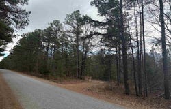 W Hundley Road, Bigelow, AR 72016