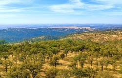 TBD Ranch Road Lanford Pacheco Road, Valley Springs, CA 95252