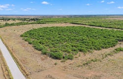 Davis Road, Archer City, TX 76351