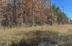 Hilltop Lane lot: 321, Wilder, TN 38589