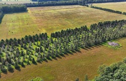 ET Rd, Eben Junction, MI 49825
