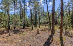 2861 W Young, Show Low, AZ 85901