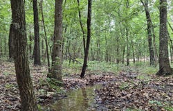 Golf Course Road, Marshfield, MO 65706