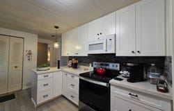 3113 State Rd 580, Safety Harbor, FL 34695