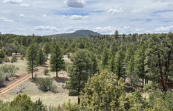 6090 N Cliff Rose, Williams, AZ 86046