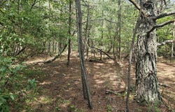 Old Hurricane Road, Wise, VA 24293
