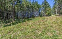 Old Tree Farm Dr, Longview, WA 98632