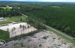 NE 73rd Avenue, Earleton, FL 32631