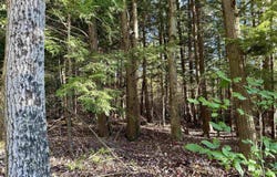 V/L E 30 Road, Cadillac, MI 49601