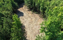 0 Mars Hill Cemetery Road, Marion, AL 36756