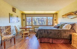 314 N Tamarron Dr, Durango, CO 81301