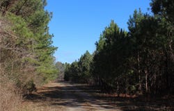 Hix Road, KELLYTON, AL 35089