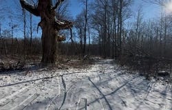 7021 Palms Road, Ira Twp, MI 48023