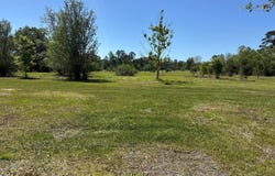 28615 Blood River Rd, Springfield, LA 70462