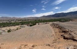 Cactus, Littlefield, AZ 86432