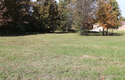 Wild Turkey Road, West Plains, MO 65775