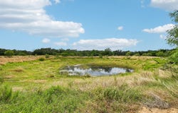 387 Goertz Dr, Red Rock, TX 78662