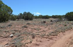 N8604, Concho, AZ 85924