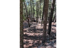 Straight St, Cloudcroft, NM 88317-9800