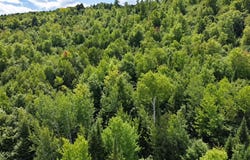 Goodwin Road lot: 10, Carthage, ME 04224