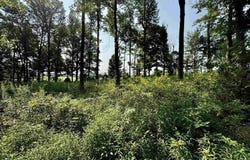 E Embry Ln, Hartford, KY 42347