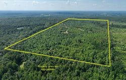 County Road 310, Roanoke, AL 36274