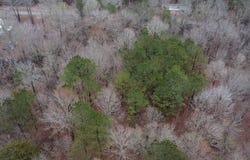 Slick Lizzard Rd, Nauvoo, AL 35578