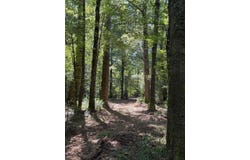 Pleasant Ridge Road, Hickory, MS 39332