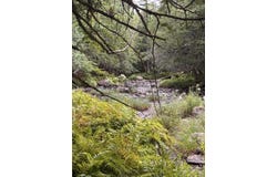 001 Harmony Road, Athens, ME 04912