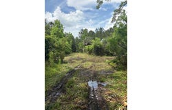 459 COUNTY ROAD 2006 E, BUNNELL, FL 32110