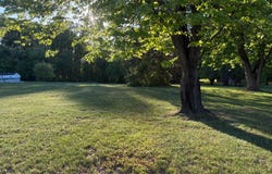 LIBERTY GROVE Road, CONOWINGO, MD 21918