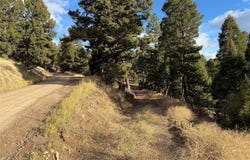 Lot 5 Scranton Lode, Philipsburg, MT 59858