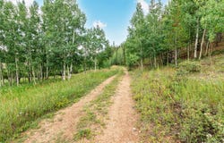 427 Wise Road, Bailey, CO 80421
