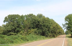 13 Star Landing Road, Nesbit, MS 38651