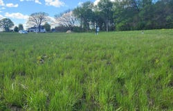 Quercus Drive lot: 32, Cottage Grove, WI 53527