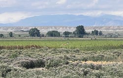 Williams Road, Riverton, WY 82501