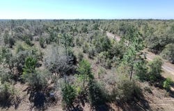 Elkcam Boulevard, Chipley, FL 32428