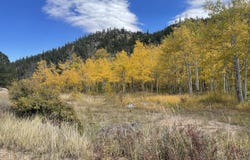 53 Ada Ct, Red Feather Lakes, CO 80545