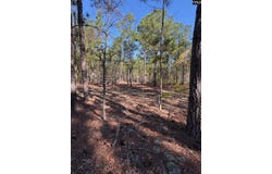 0 E Old Camden Hwy, Darlington, SC 29550